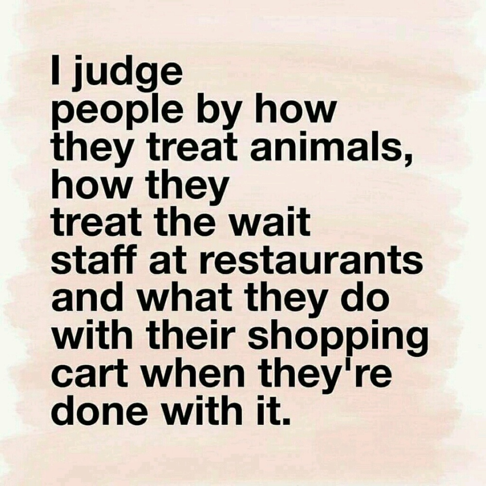 Meet your Posher, Megan